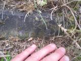 image of grave number 444266